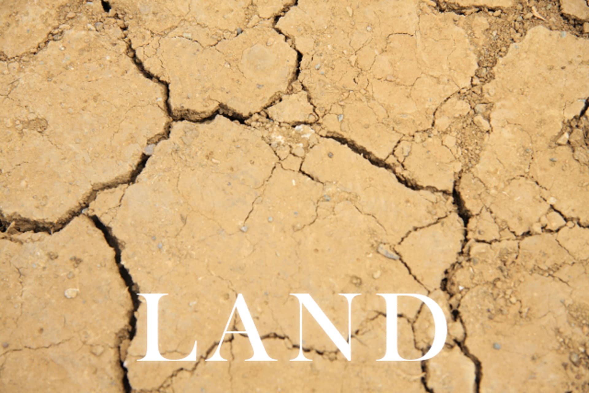 LAND