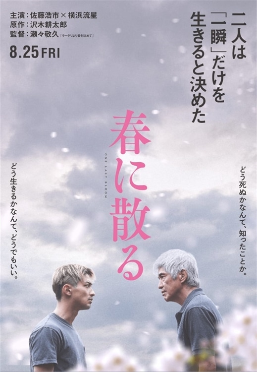 劇場公開映画『春に散る』