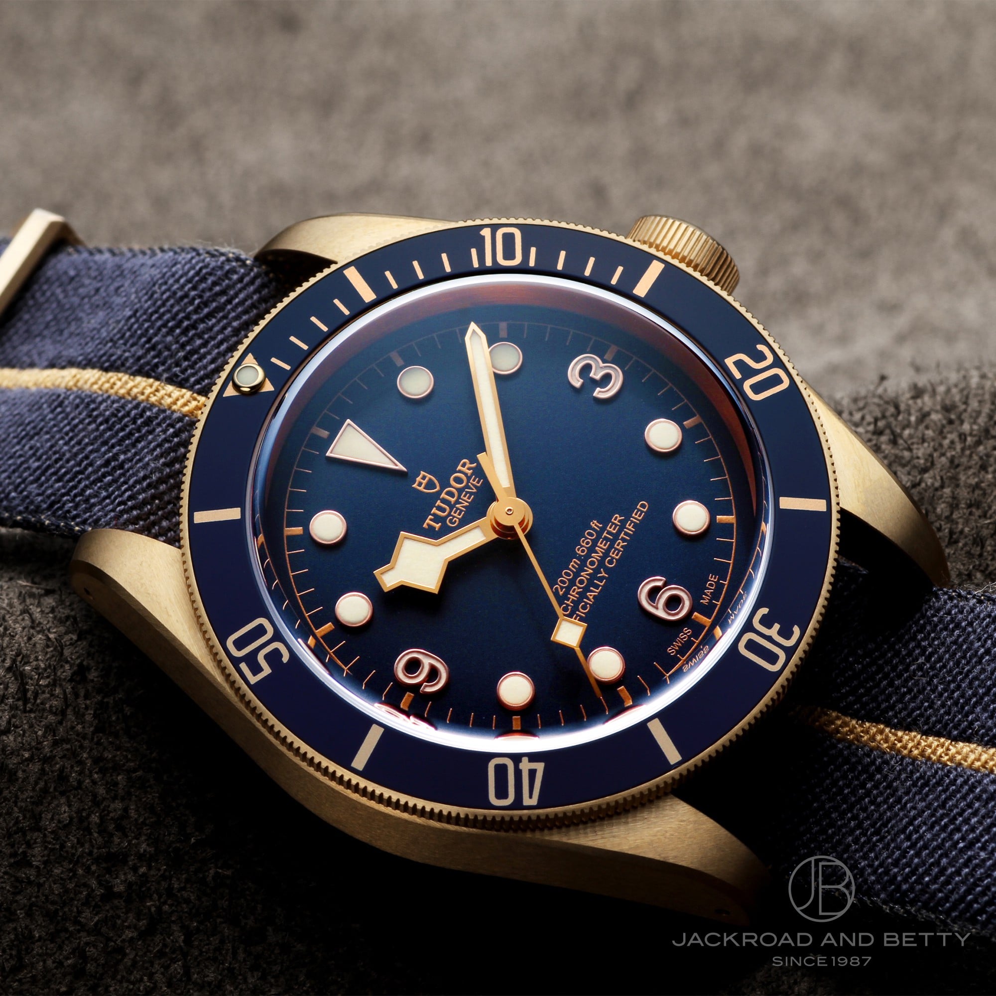 TUDOR チューダー 79250BB ブッヘラー限定　ブロンズ　ブラック ベイ