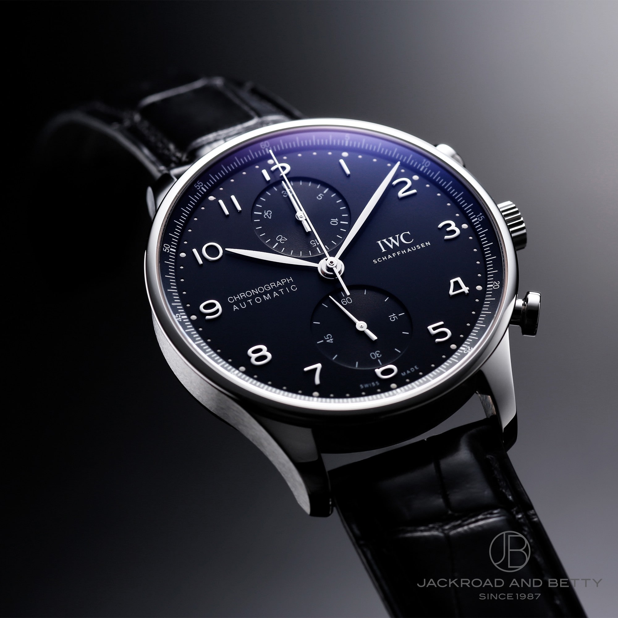 IWC |gM[[ NmOt IW371609 C[Wʐ^