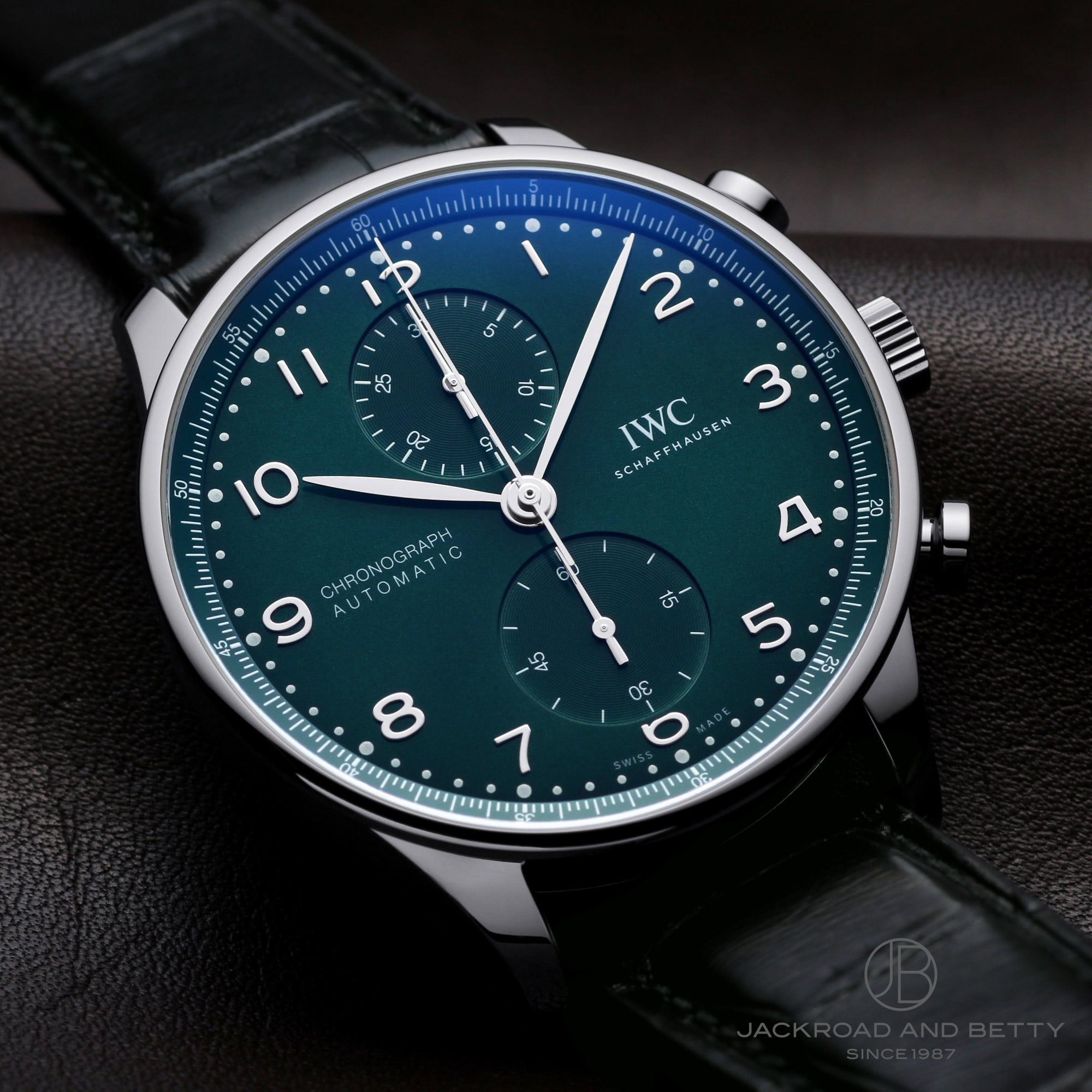 IWC |gM[[ NmOt IW371615 C[Wʐ^