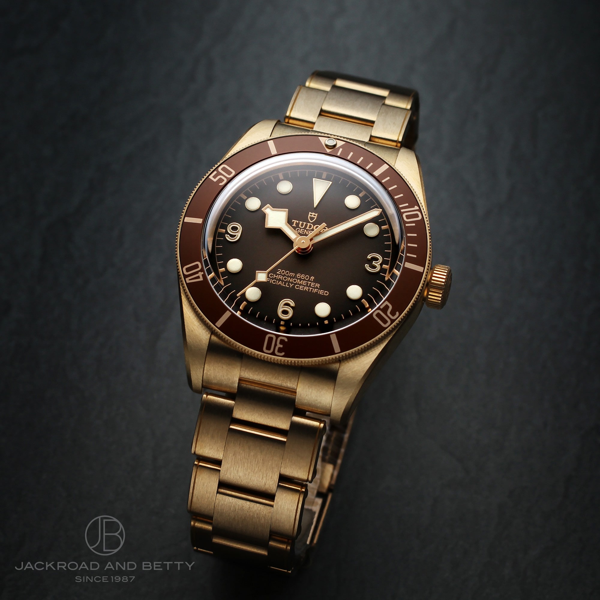 TUDOR チュードル ブラックベイ フィフティエイト 79012M