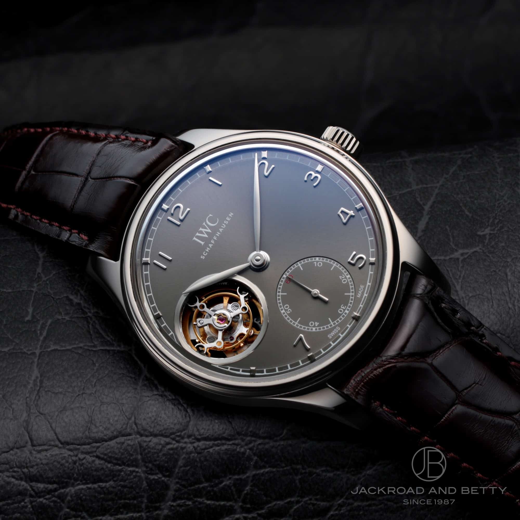IWC |gM[[ gD[r nhCh IW546301 C[Wʐ^