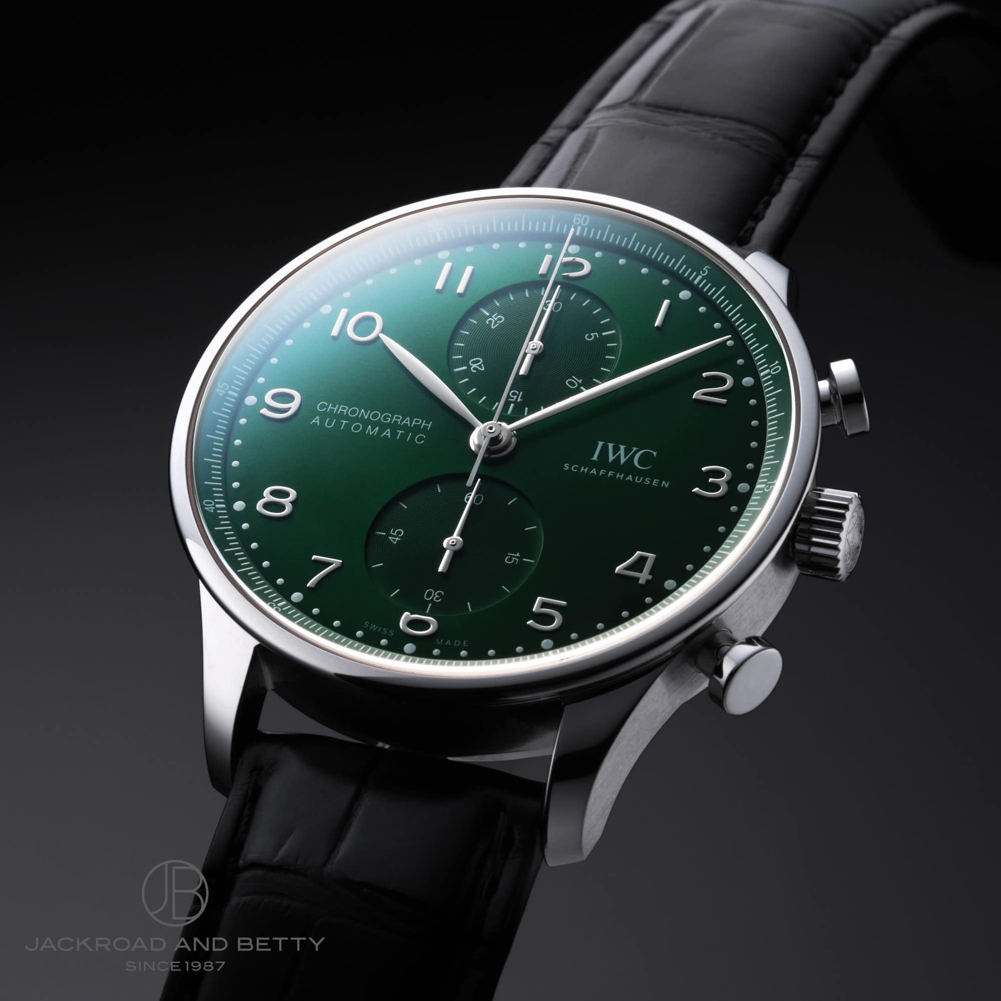 IWC |gM[[ NmOt IW371615 C[Wʐ^