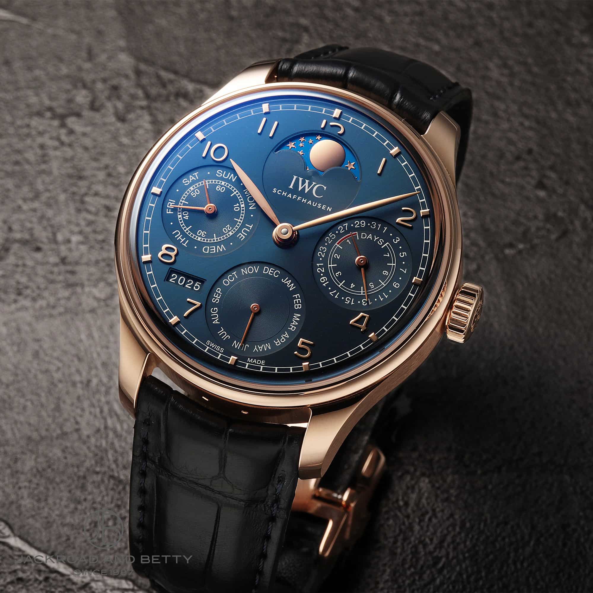 IWC |gM[[ p[y`A J_[ IW503312 C[Wʐ^