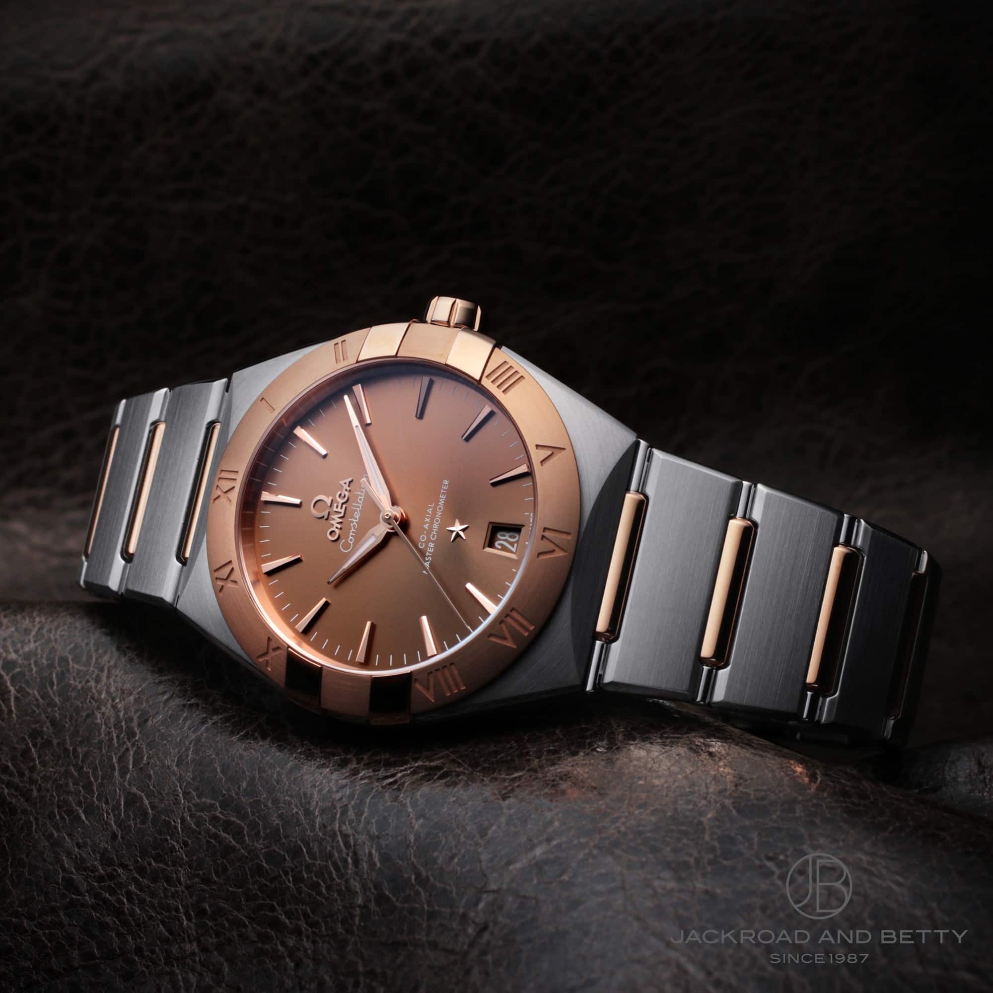 コンステレーション[131.20.36.20.13.001] Constellation