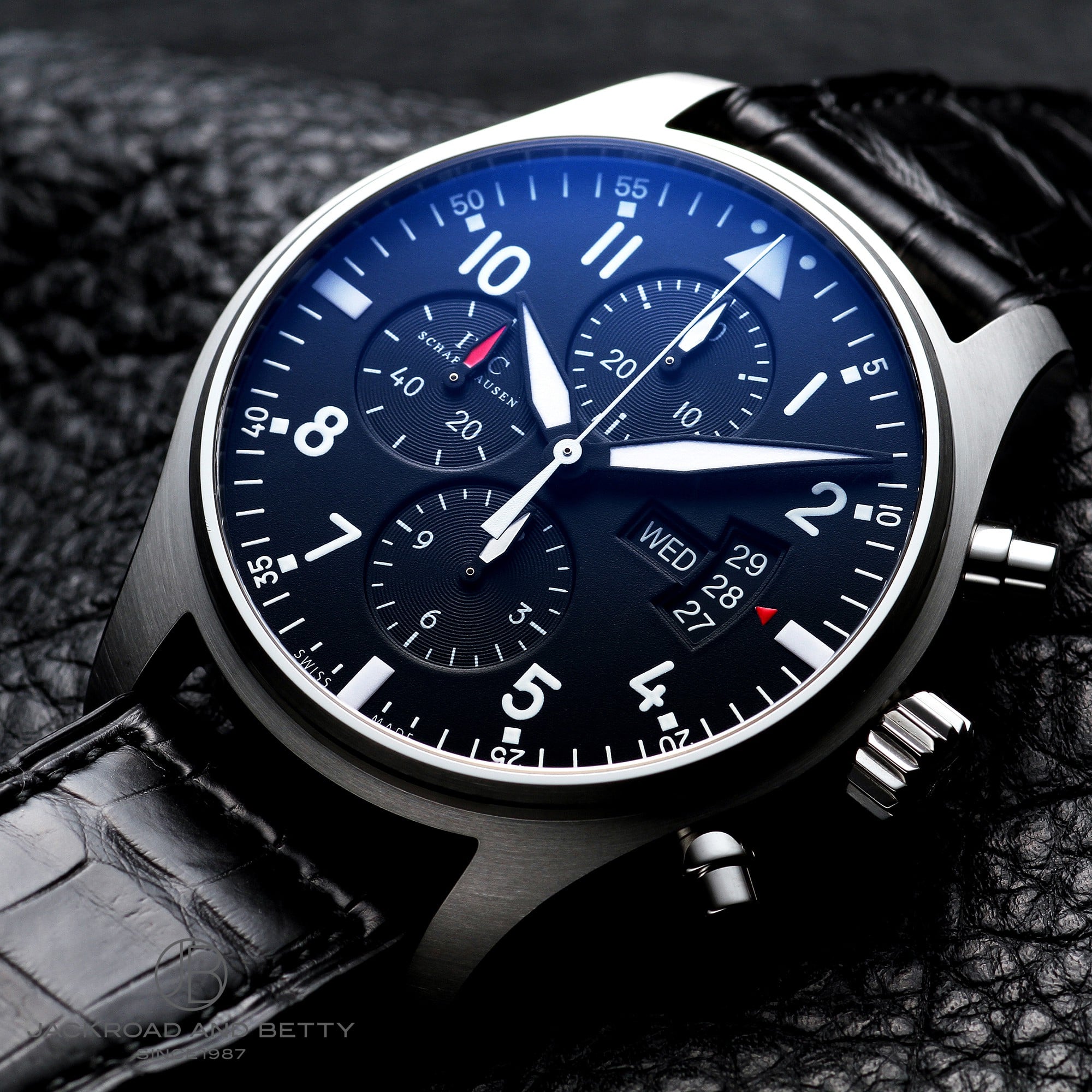 IWC pCbgEHb` NmOt IW377701 C[Wʐ^