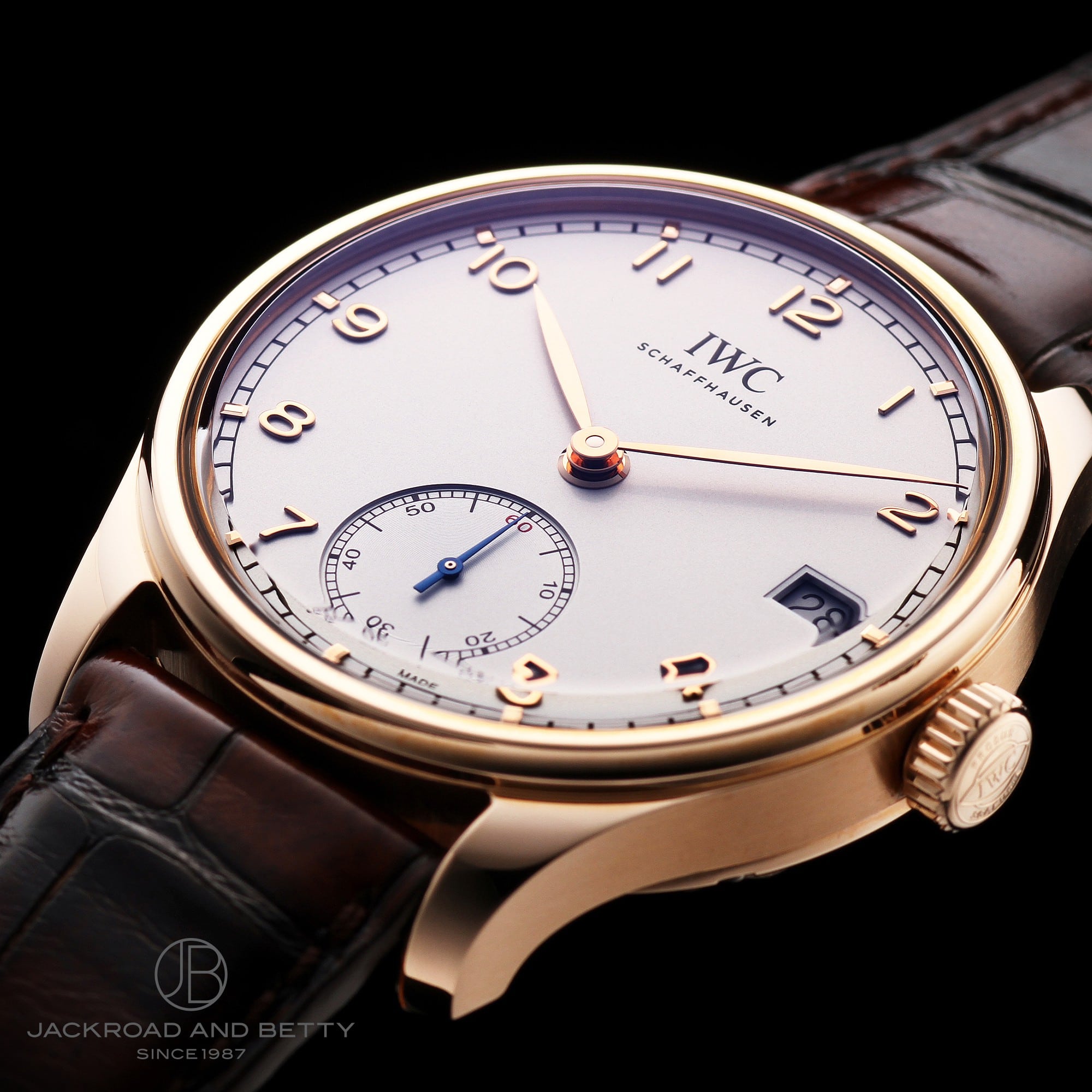 IWC |gM[[ GCgfCY IW510204 C[Wʐ^