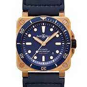 Instruments BR03-92 DIVER