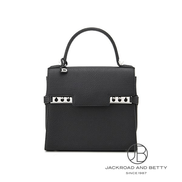 DELVAUX デルボー タンペートPM 限定品 購入証明書あり タンペート PM