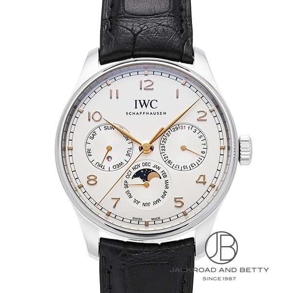 IWC |gM[[ p[y`A J_[ 42 IW344203