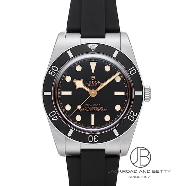 【新品未使用品】TUDOR ブラックベイ 54 79000N