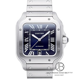 Santos de Cartier サントス　カルティエ　サングラス CRESW00720 - サントス ドゥ カルティエ サングラス - ブラッシュド