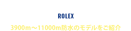 ROLEX fB[vV[