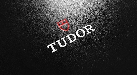 {͐𒴂āBē{ɏ㗤ʂ`[_[iTUDORj̖͂O